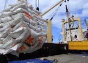 Petani Tolak Rencana Pemerintah Impor Beras 3 Juta Ton Tahun Ini