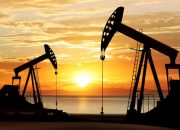 Investasi dan Bisnis, Menteri ESDM Dorong Kerja Sama Strategis dengan Venezuela