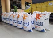 Plt BPS: Beras Penyumbang Andil Terbesar Inflasi
