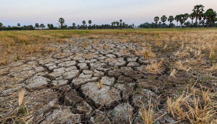 BMKG: Kemungkinan Fenomena El Nino Tak Kembali Terjadi Lagi di Tahun Ini