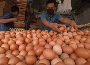 Harga Telur Alami Tren Kenaikan Bersama Sejumlah Komoditas Pangan