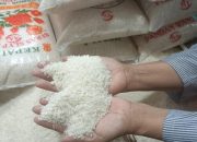 Harga Beras Premium Naik 2,56% Jadi Rp16.040 per Kg