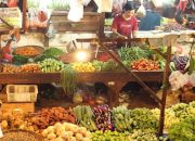 Harga Jagung di Tingkat Peternak Turun 1,78% Menjadi Rp5.530 per Kilogram