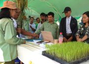 Agar Berkembang, NFA Komitmen Dukung UMKM Pangan Lokal