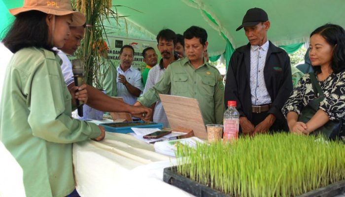 Agar Berkembang, NFA Komitmen Dukung UMKM Pangan Lokal