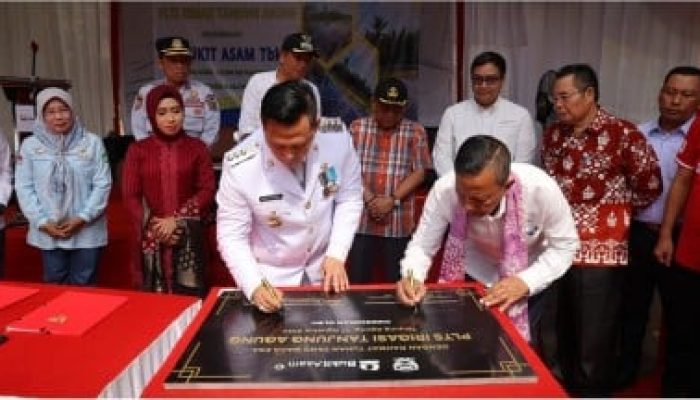 Diresmikan PLTS di HUT ke-79 RI, 60 Petani Peroleh Manfaat dari PLTS
