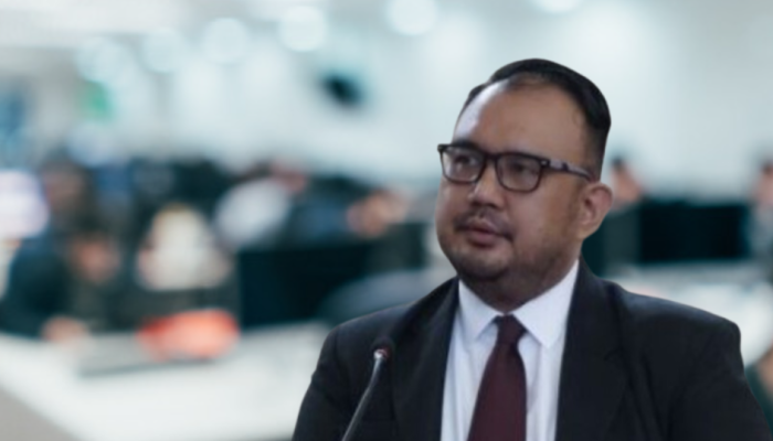 Dampak Deflasi dalam Jangka Panjang: Perspektif Prof. Hardi Fardiansyah tentang Stabilitas Ekonomi