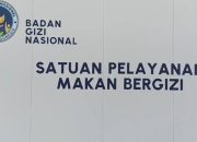 Daun Kelor dan Telur Ayam Jadi Alternatif Susu di Program Makan Bergizi Gratis